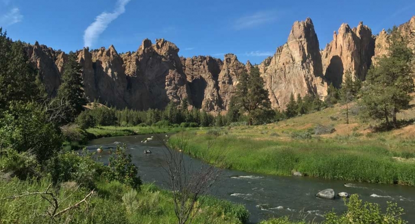 A river winds through tall green grass toward a dramatic rocky landscape in the background. 